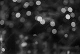 preview bw