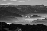 preview bw