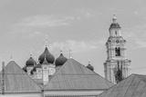 preview bw