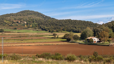 image to crop