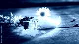 preview cold