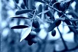preview cold