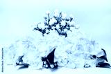 preview cold