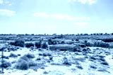 preview cold