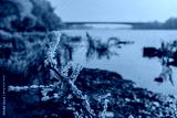 preview cold