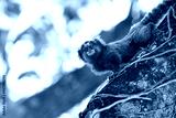 preview cold