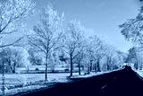 preview cold