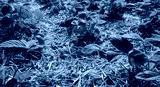 preview cold