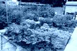 preview cold