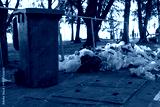 preview cold