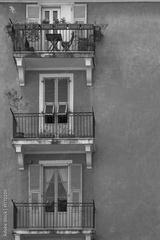 preview bw