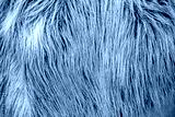 preview cold