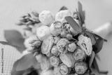preview bw