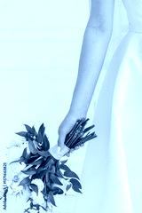preview cold