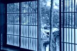 preview cold
