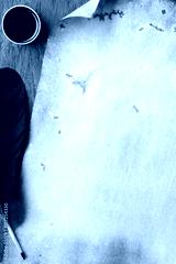 preview cold