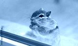 preview cold