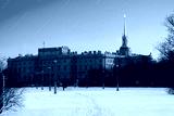 preview cold