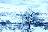 preview cold