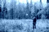 preview cold