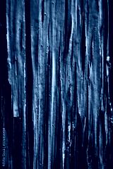 preview cold