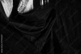 preview bw