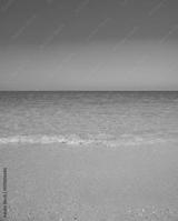 preview bw