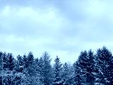 preview cold