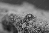 preview bw