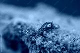 preview cold
