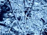 preview cold