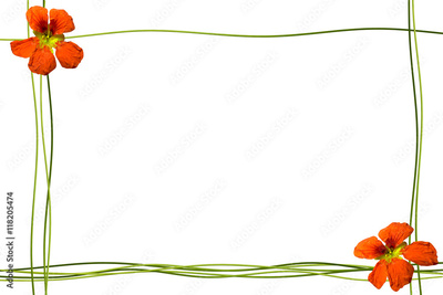 image to crop