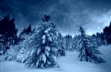 preview cold