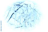 preview cold