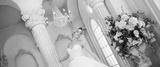 preview bw