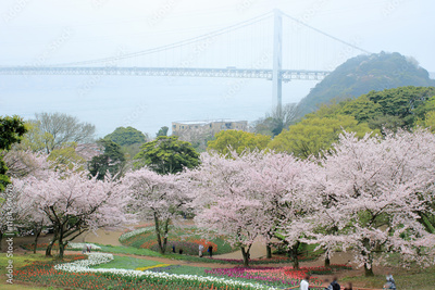image to crop