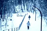 preview cold