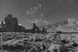 preview bw