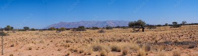 image to crop