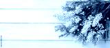 preview cold