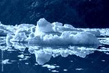 preview cold