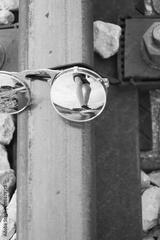 preview bw