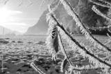 preview bw
