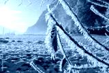 preview cold