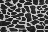 preview bw