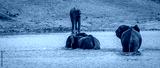 preview cold