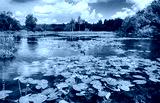 preview cold