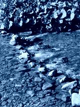 preview cold