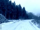 preview cold