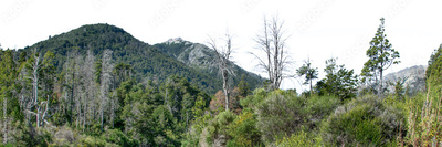 image to crop